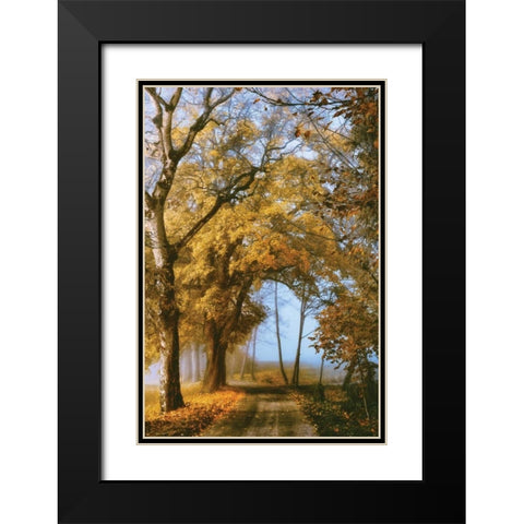 The Road to You Black Modern Wood Framed Art Print with Double Matting by Van de Goor, Lars