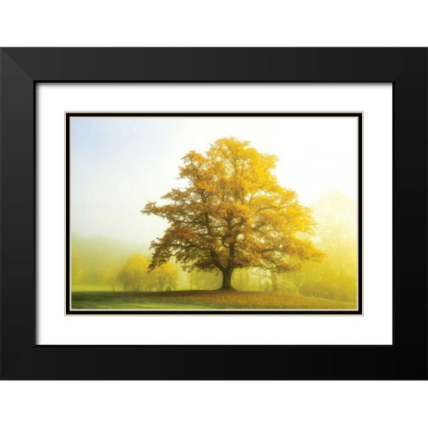 The Sentinel Black Modern Wood Framed Art Print with Double Matting by Van de Goor, Lars