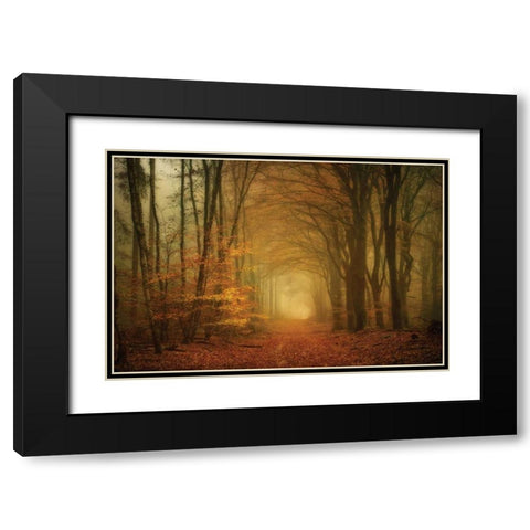Early Light Black Modern Wood Framed Art Print with Double Matting by Van de Goor, Lars