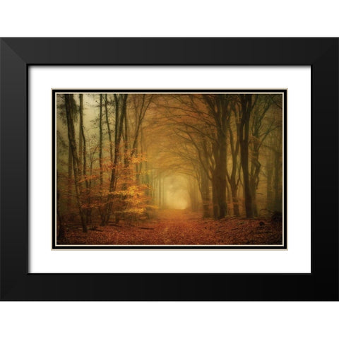 Early Light Black Modern Wood Framed Art Print with Double Matting by Van de Goor, Lars