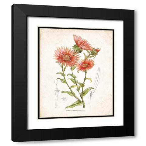 Botanical I Black Modern Wood Framed Art Print with Double Matting by Nan