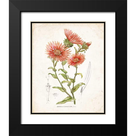 Botanical I Black Modern Wood Framed Art Print with Double Matting by Nan