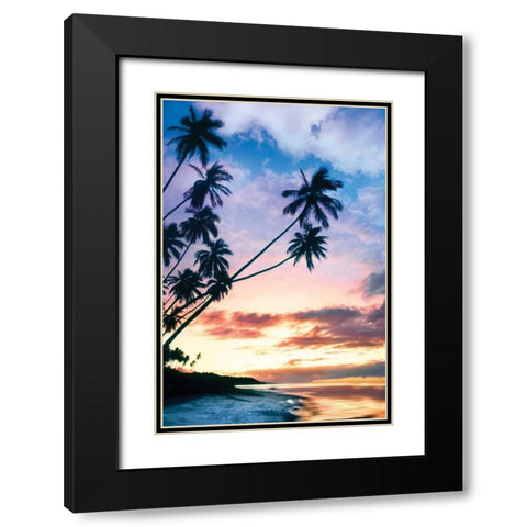 Molokai Palms At Black Modern Wood Framed Art Print with Double Matting by Delimont, Danita