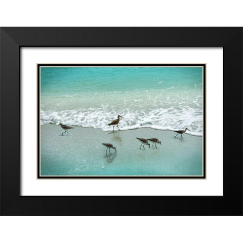 Sandpiper Beach Party Black Modern Wood Framed Art Print with Double Matting by Nan