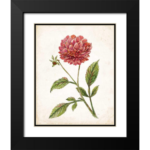 Scarlet Botanical I Black Modern Wood Framed Art Print with Double Matting by Nan