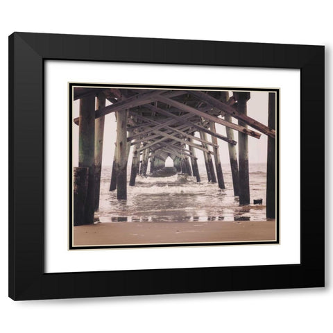 Under the Black Modern Wood Framed Art Print with Double Matting by Delimont, Danita