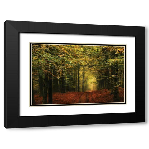 A Forest Path Black Modern Wood Framed Art Print with Double Matting by Van de Goor, Lars