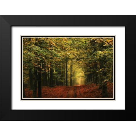 A Forest Path Black Modern Wood Framed Art Print with Double Matting by Van de Goor, Lars