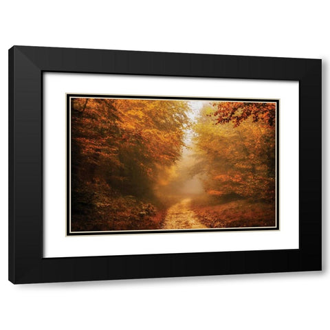 Autumnal Walk Black Modern Wood Framed Art Print with Double Matting by Van de Goor, Lars