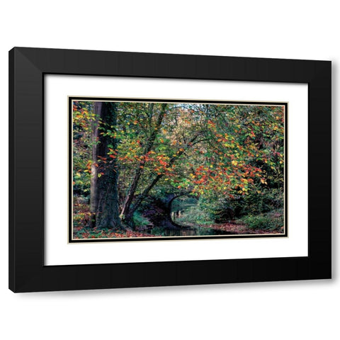 Beech and Bridge Black Modern Wood Framed Art Print with Double Matting by Van de Goor, Lars