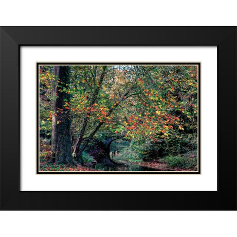 Beech and Bridge Black Modern Wood Framed Art Print with Double Matting by Van de Goor, Lars