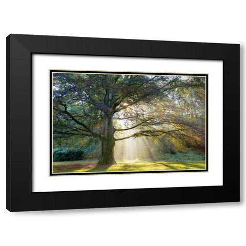 The Natural Black Modern Wood Framed Art Print with Double Matting by Van de Goor, Lars