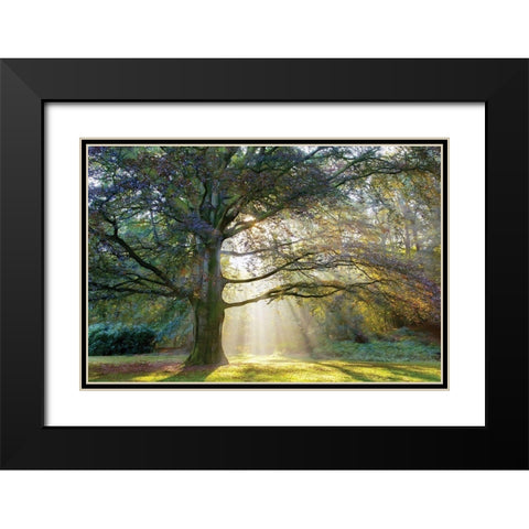 The Natural Black Modern Wood Framed Art Print with Double Matting by Van de Goor, Lars