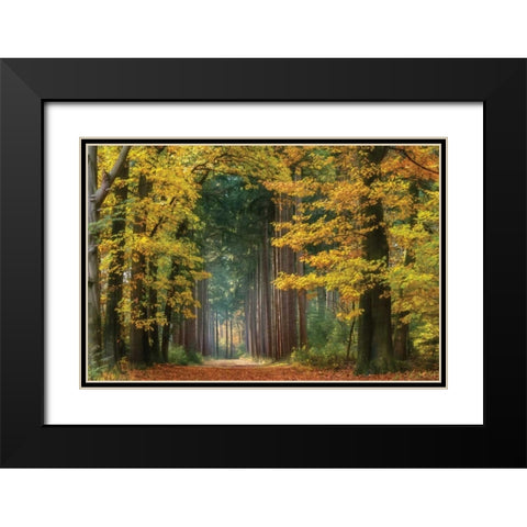 Yellow Gate Black Modern Wood Framed Art Print with Double Matting by Van de Goor, Lars