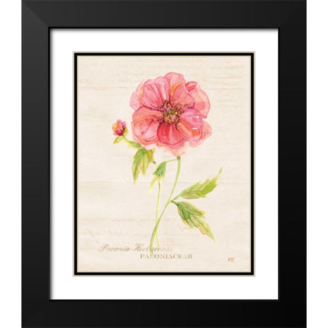 Botanical Peony Black Modern Wood Framed Art Print with Double Matting by Robinson, Carol
