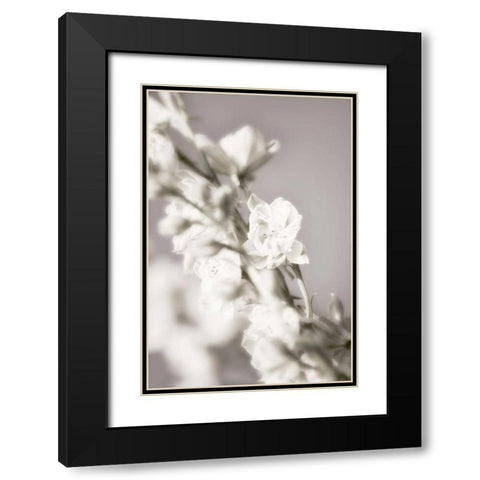 Jardin dArgent III Black Modern Wood Framed Art Print with Double Matting by Delimont, Danita