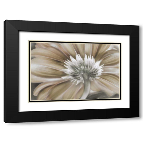 Dreamin Black Modern Wood Framed Art Print with Double Matting by Weisz, Irene