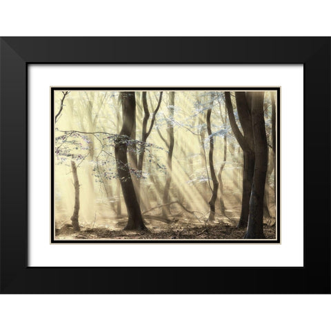 Forest Black Modern Wood Framed Art Print with Double Matting by Van de Goor, Lars