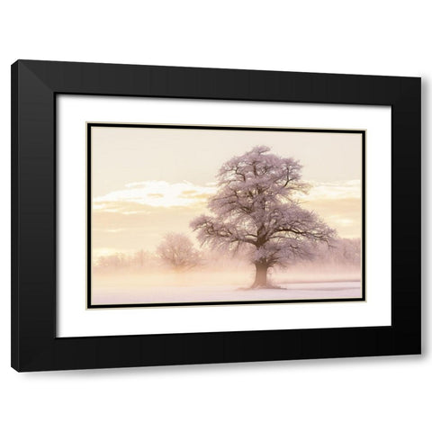 Winter Glow Black Modern Wood Framed Art Print with Double Matting by Van de Goor, Lars