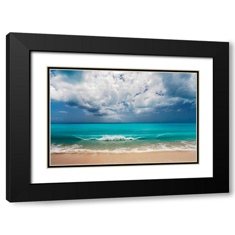 Leeward Black Modern Wood Framed Art Print with Double Matting by Delimont, Danita