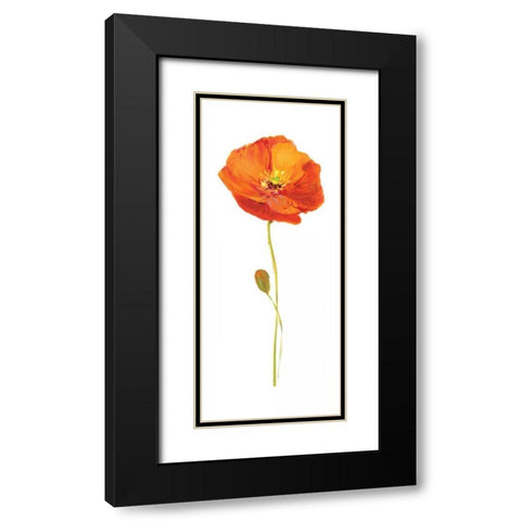 Poppy Pop II Black Modern Wood Framed Art Print with Double Matting by Nan