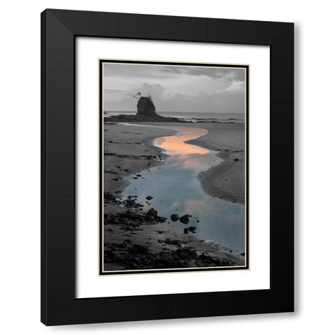 Playa Carrillo Black Modern Wood Framed Art Print with Double Matting by Delimont, Danita