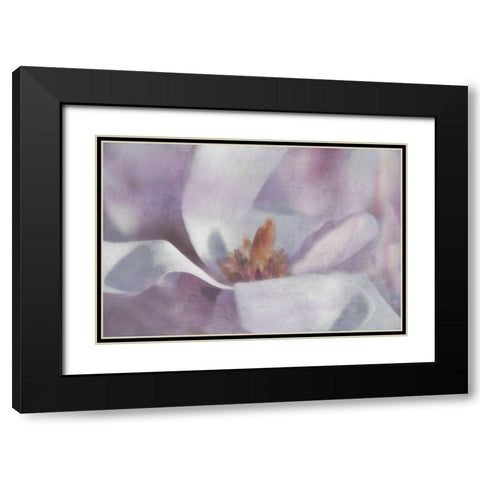 Magnolia Melody I Black Modern Wood Framed Art Print with Double Matting by Weisz, Irene