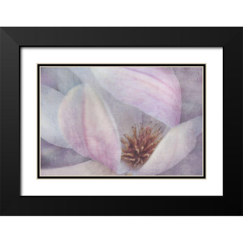 Magnolia Melody II Black Modern Wood Framed Art Print with Double Matting by Weisz, Irene