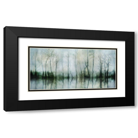 Mirrored Pond Black Modern Wood Framed Art Print with Double Matting by Weisz, Irene