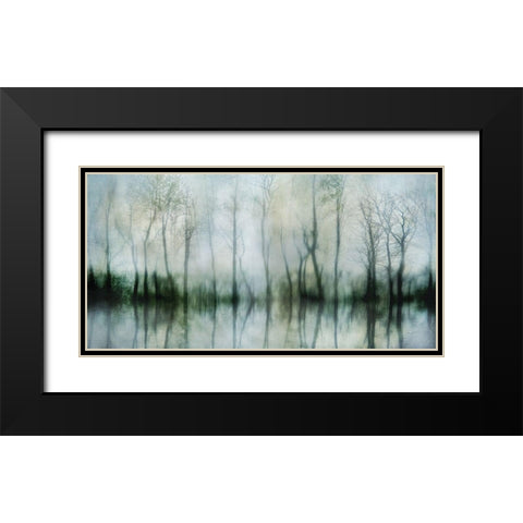 Mirrored Pond Black Modern Wood Framed Art Print with Double Matting by Weisz, Irene