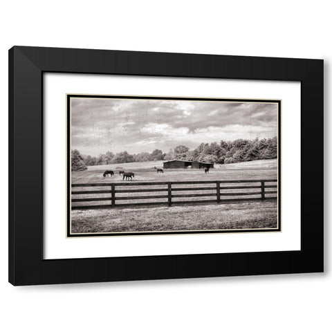 Horse Country Black Modern Wood Framed Art Print with Double Matting by Nan