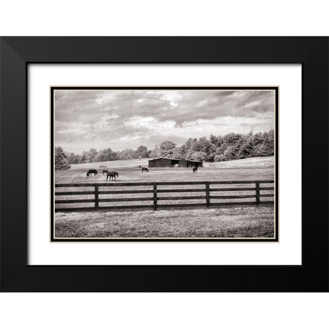 Horse Country Black Modern Wood Framed Art Print with Double Matting by Nan