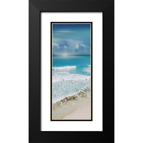 Simply Caribbean I Black Modern Wood Framed Art Print with Double Matting by Nan