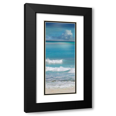 Simply Caribbean II Black Modern Wood Framed Art Print with Double Matting by Nan