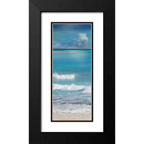 Simply Caribbean II Black Modern Wood Framed Art Print with Double Matting by Nan