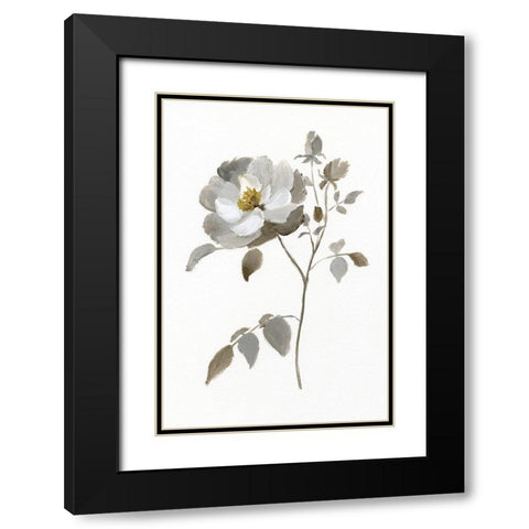 Neutral Rose II Black Modern Wood Framed Art Print with Double Matting by Nan