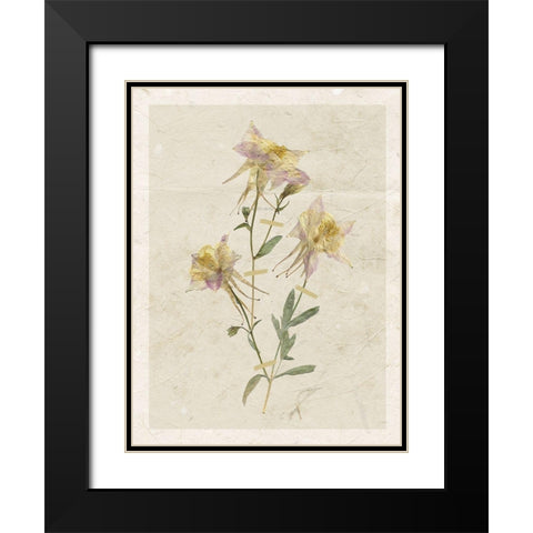 Pressed Columbine Black Modern Wood Framed Art Print with Double Matting by Robinson, Carol