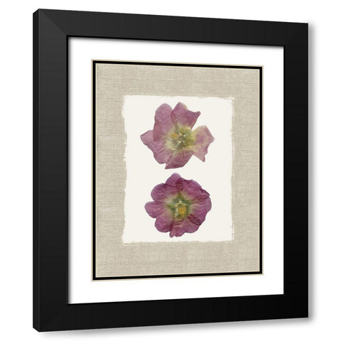 Pressed Duo Black Modern Wood Framed Art Print with Double Matting by Robinson, Carol