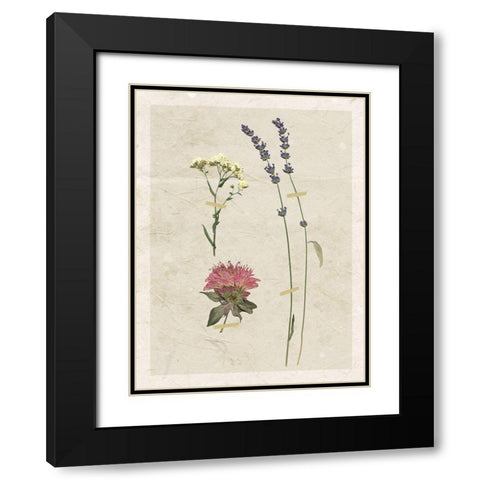 Pressed Lavender I Black Modern Wood Framed Art Print with Double Matting by Robinson, Carol