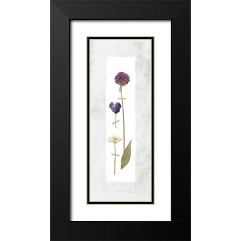 Pressed Panel I Black Modern Wood Framed Art Print with Double Matting by Robinson, Carol