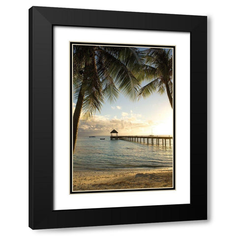 Pier and Palm Black Modern Wood Framed Art Print with Double Matting by Delimont, Danita