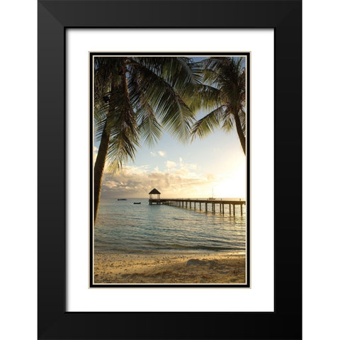 Pier and Palm Black Modern Wood Framed Art Print with Double Matting by Delimont, Danita
