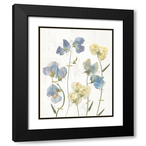 Blue Sweet Peas II Black Modern Wood Framed Art Print with Double Matting by Robinson, Carol