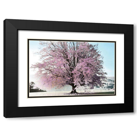 Season of Spring Black Modern Wood Framed Art Print with Double Matting by Weisz, Irene