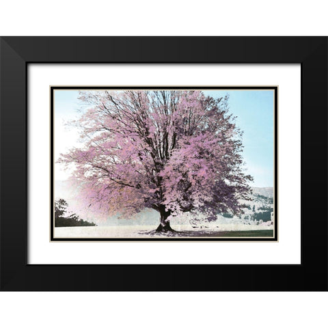 Season of Spring Black Modern Wood Framed Art Print with Double Matting by Weisz, Irene