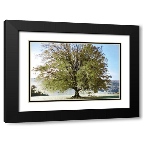 Season of Summer Black Modern Wood Framed Art Print with Double Matting by Weisz, Irene
