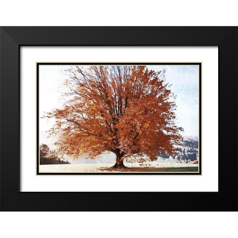 Season of Fall Black Modern Wood Framed Art Print with Double Matting by Weisz, Irene