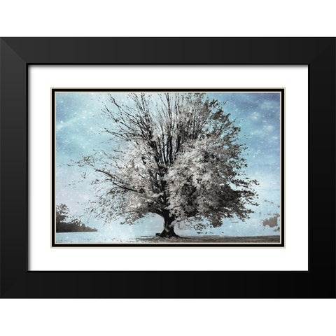 Season of Winter Black Modern Wood Framed Art Print with Double Matting by Weisz, Irene