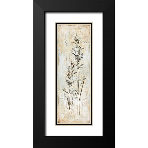 Delicate Nature I Black Modern Wood Framed Art Print with Double Matting by Robinson, Carol