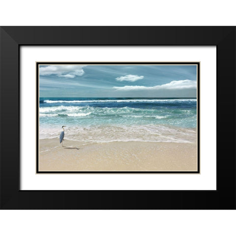 Natures Symphony Black Modern Wood Framed Art Print with Double Matting by Nan